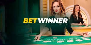 The Exciting World of Casino Online The Exciting World of Casino Online