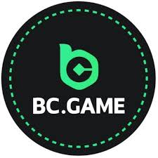 All You Need to Know About the App for iOS BC.Game